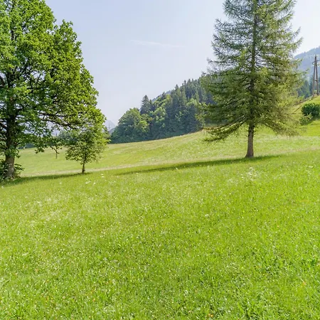 Hintermuehltalhof アパート *